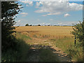 Field Entry off Thornton Road