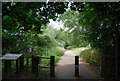 Cycle track along the old railway