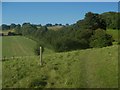 Elham Valley Way beside Pierceley Wood