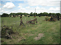 Cattle and implements, Manor Farm