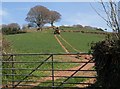 Tractor at Cadbury Cross