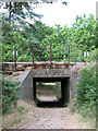 Railway underpass by Railway Cottage, Santon Downham