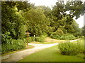 Paths in Bramcote Hills Country Park