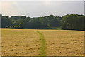 Footpath across stubble field