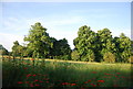 Field off Earlham Green Lane