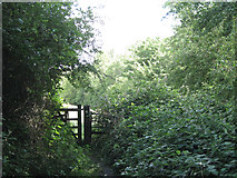 SP2160 : Footpath by Bell Brook by Robin Stott