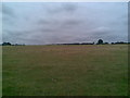 Farmland near Little Brington