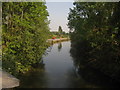 River Medway - Canal from Yalding