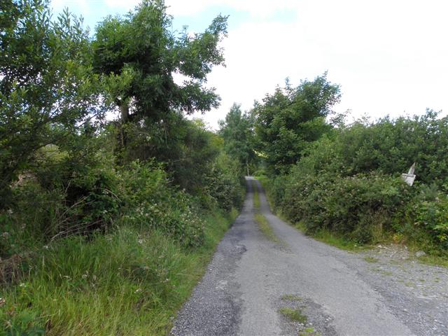 Road at Tullyhonour