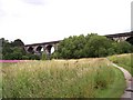 Sankey Viaduct crosses Sankey Valley Park