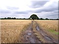 The path to Brook Head Farm