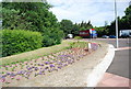 Flower Beds by Ipswich Rd