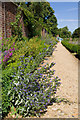 The Kitchen Garden, Down House