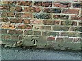 Benchmark on wall in Nelson Street