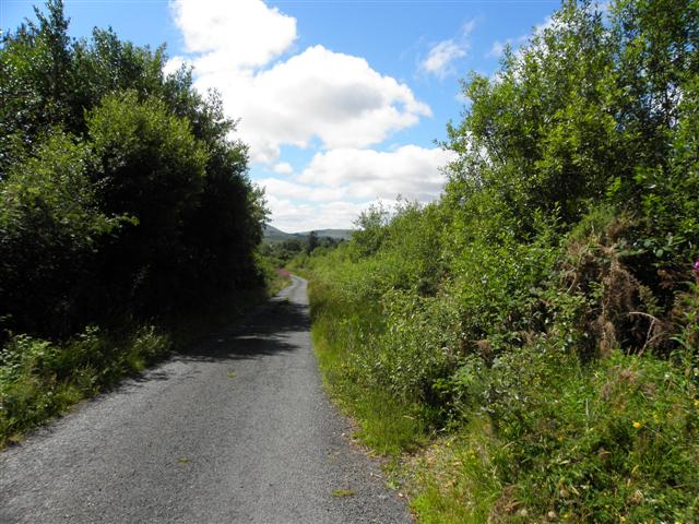 Road at Cashelreagh