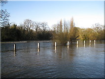 SU7575 : Thames in flood by Mr Ignavy