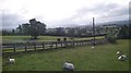 Sheep in a field at the junction of Rathfriland Road and Hilltown Road