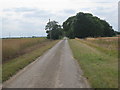 Looking along the lane towards Poplar Farm