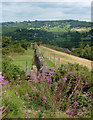 Ridge walk, looking north