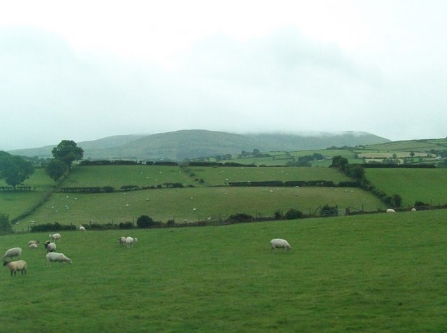 Sheep pastures south of the Castlewellan Road and west of The Square