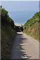 SS4644 : Sandy Lane with a glimpse of Woolacombe Sand in the distance by Roger A Smith