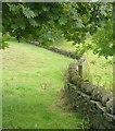 Footpath - Sheffield Road