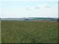 Farmland near East Heslerton Wold Farm