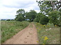 Farm track (footpath), West Heslerton Carr