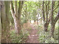 Footpath towards Scampston