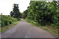 Minor road near Latheronwheel Mains