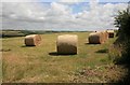 SX1899 : Big Bales by roger geach