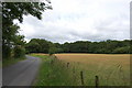 Acton Lane and Rushgreen Wood