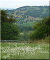 Field with a view