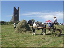 N8056 : Hay making at Trim by John M