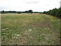 Farmland at Pebworth