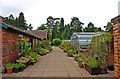 Arley Arboretum & Gardens (6) - path in gardens