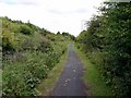 Track, Percy Pit Local Nature Reserve