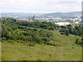 Percy Pit Local Nature Reserve