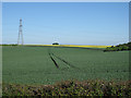 TL5650 : Fields and pylon by Hugh Venables