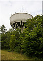 Water Tower, Trent Park