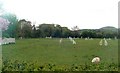 Gymkhana course and a sheep near Moygannon