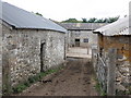 Farmyard, Berry Barton