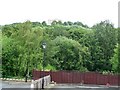 Holme valley trees, Armitage Bridge