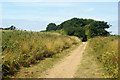 Sunshine Trail, Whiteley Bank, Isle of Wight