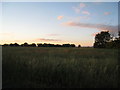 Looking towards Axholme Game Farm