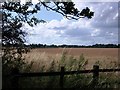 A view from Hollis Lane towards Red Lane, Burton Green