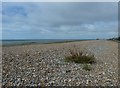 East Worthing Beach (1)