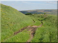 Cutting on a former mine railway above Westgate (2)