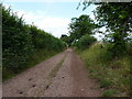 Footpath to Outwoods