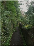 NY9364 : Path parallel to Cockshaw by Mike Quinn